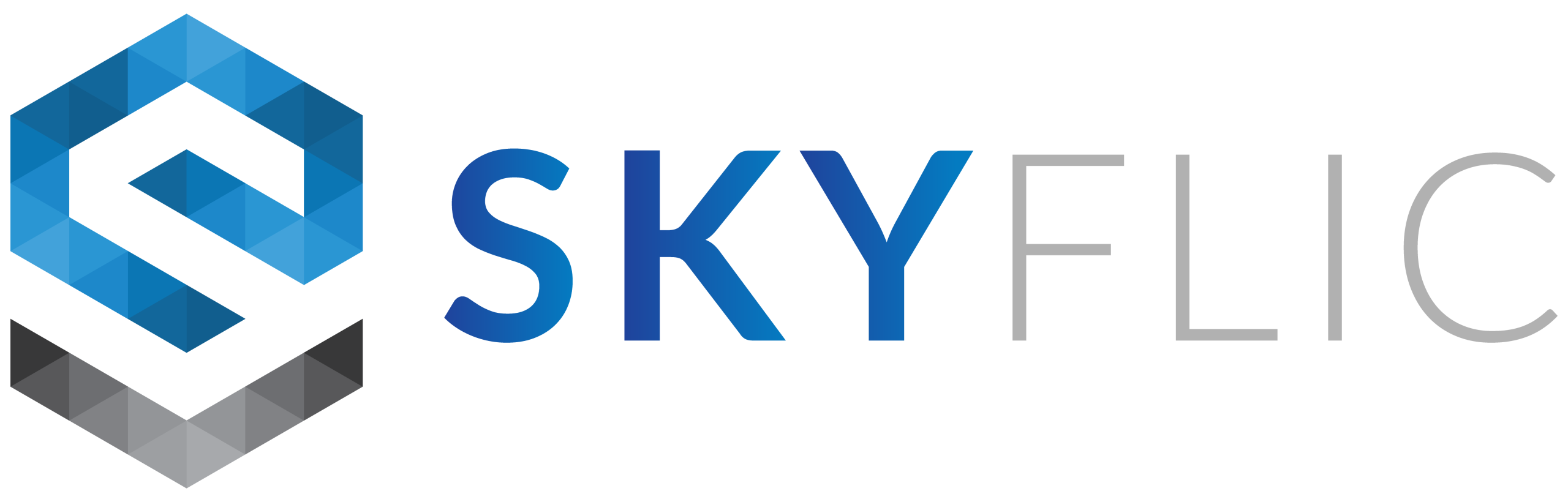 SkyFlic