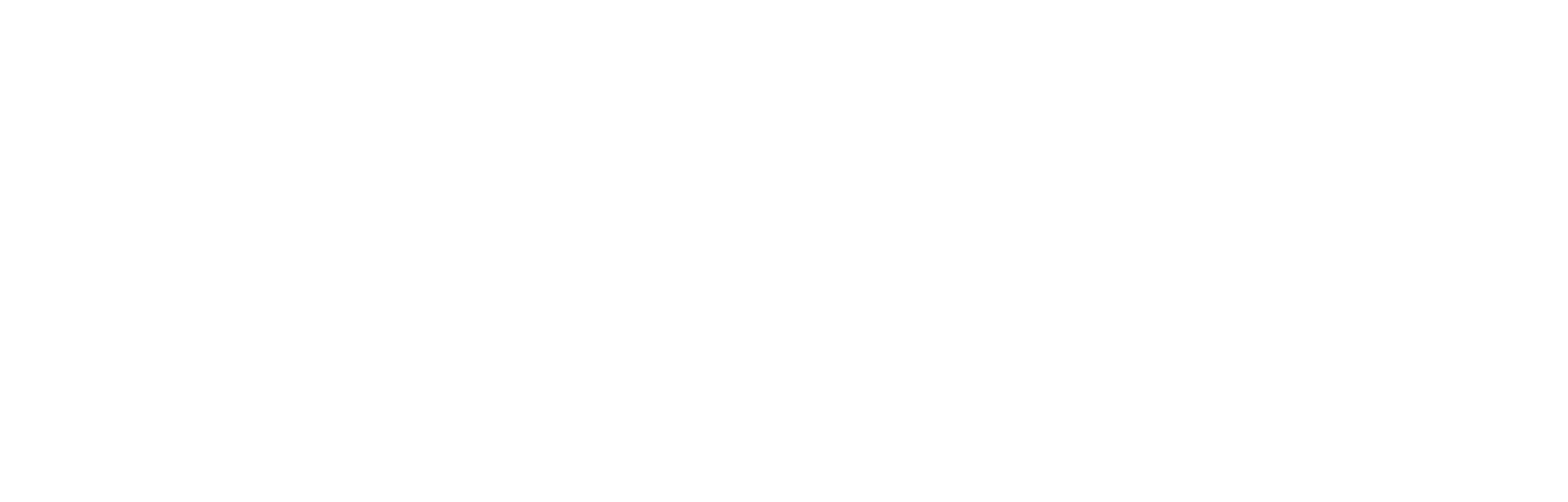 SkyFlic